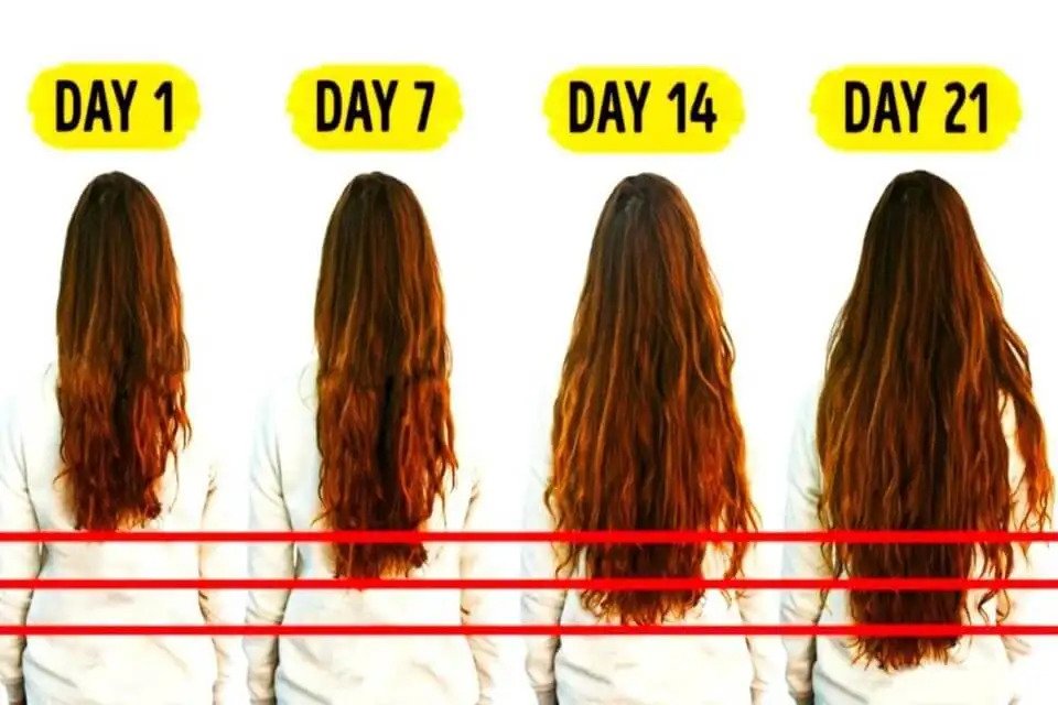 how fast does hair grow a year